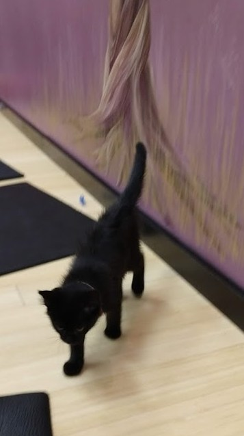 This lil cutie was my bestie! He was playful and pretty naughty. :D